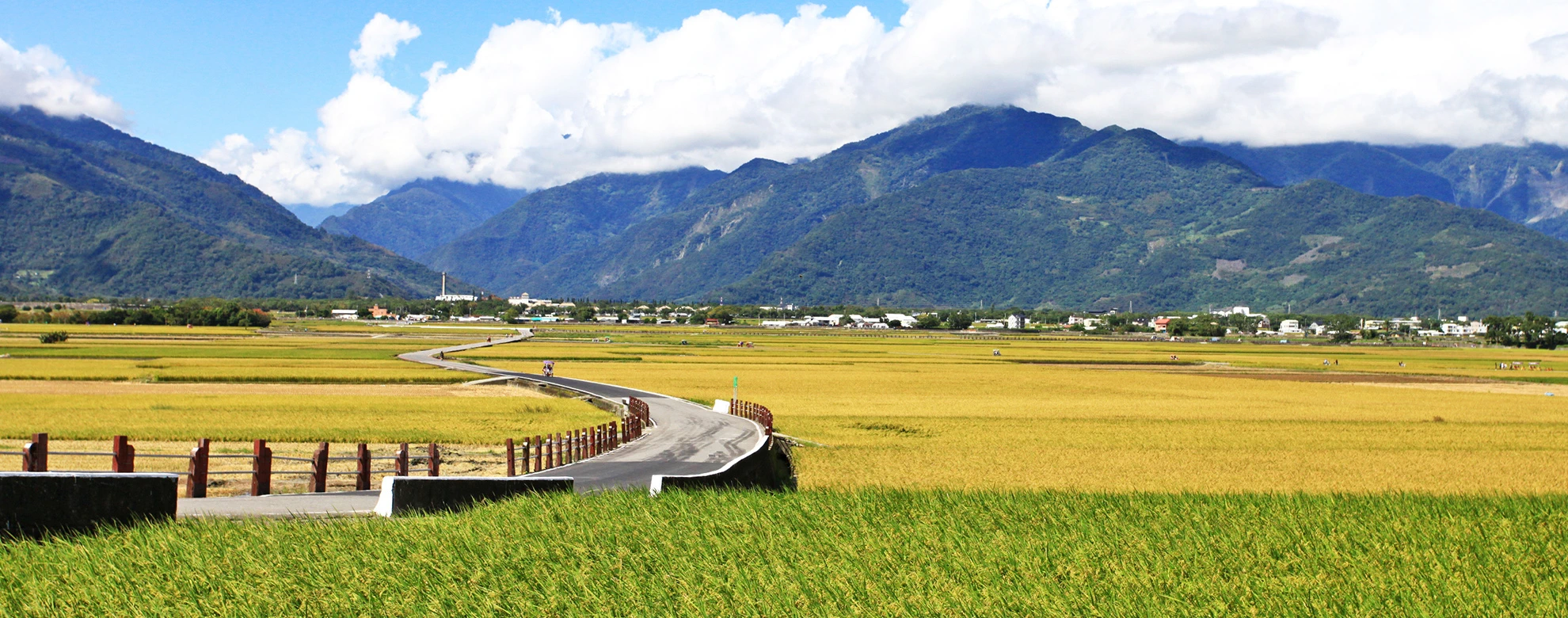 台東慢旅聯盟夥伴