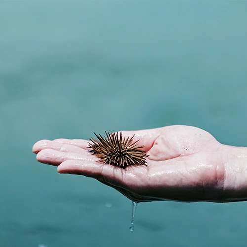 台東慢旅聯盟-永續旅人指南