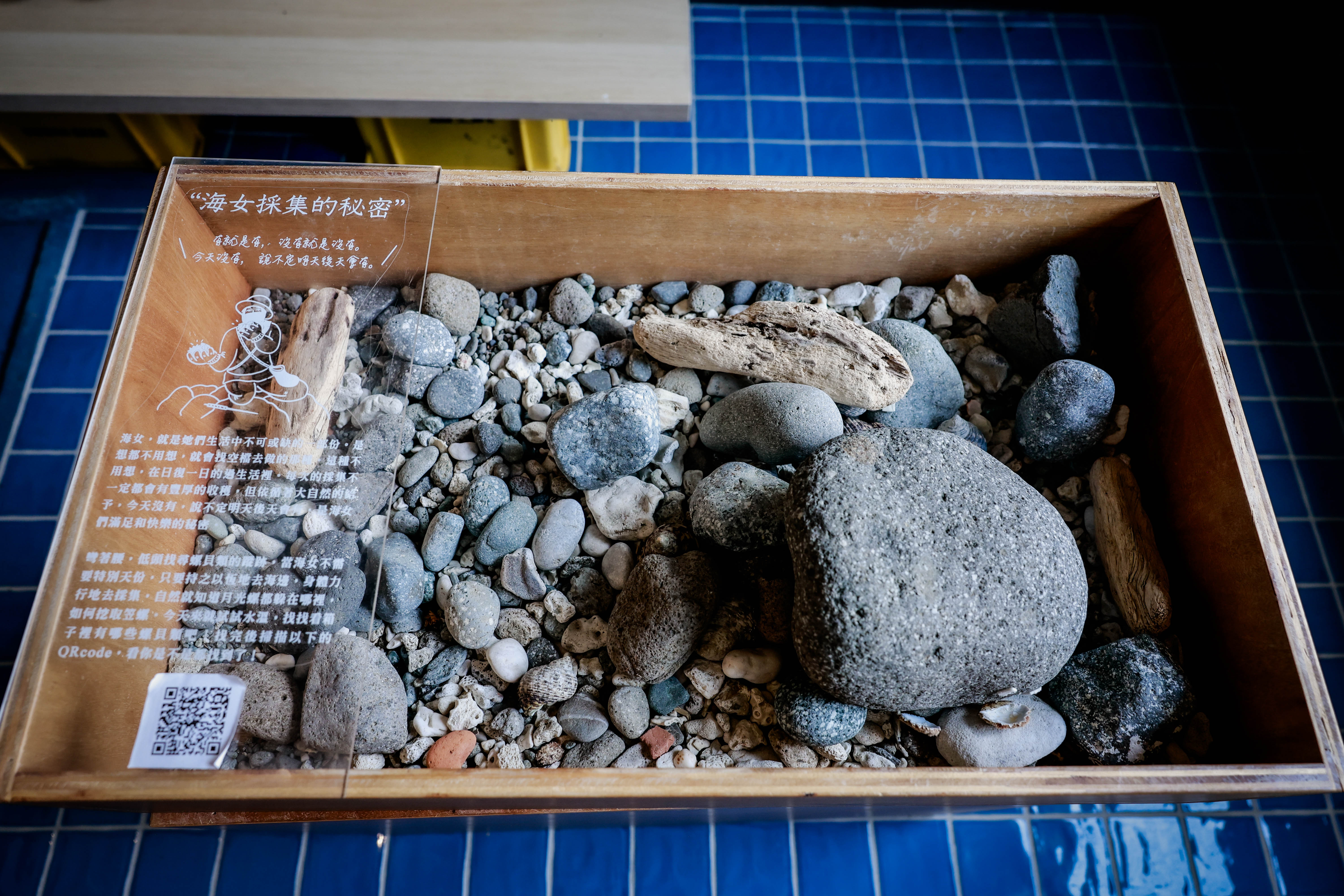 台東成功｜成功海銀行｜老屋活化餐廳 × 潮間帶海女體驗 × 漁港低碳步行慢旅 | 台東慢旅｜Go Slow Go Taitung！