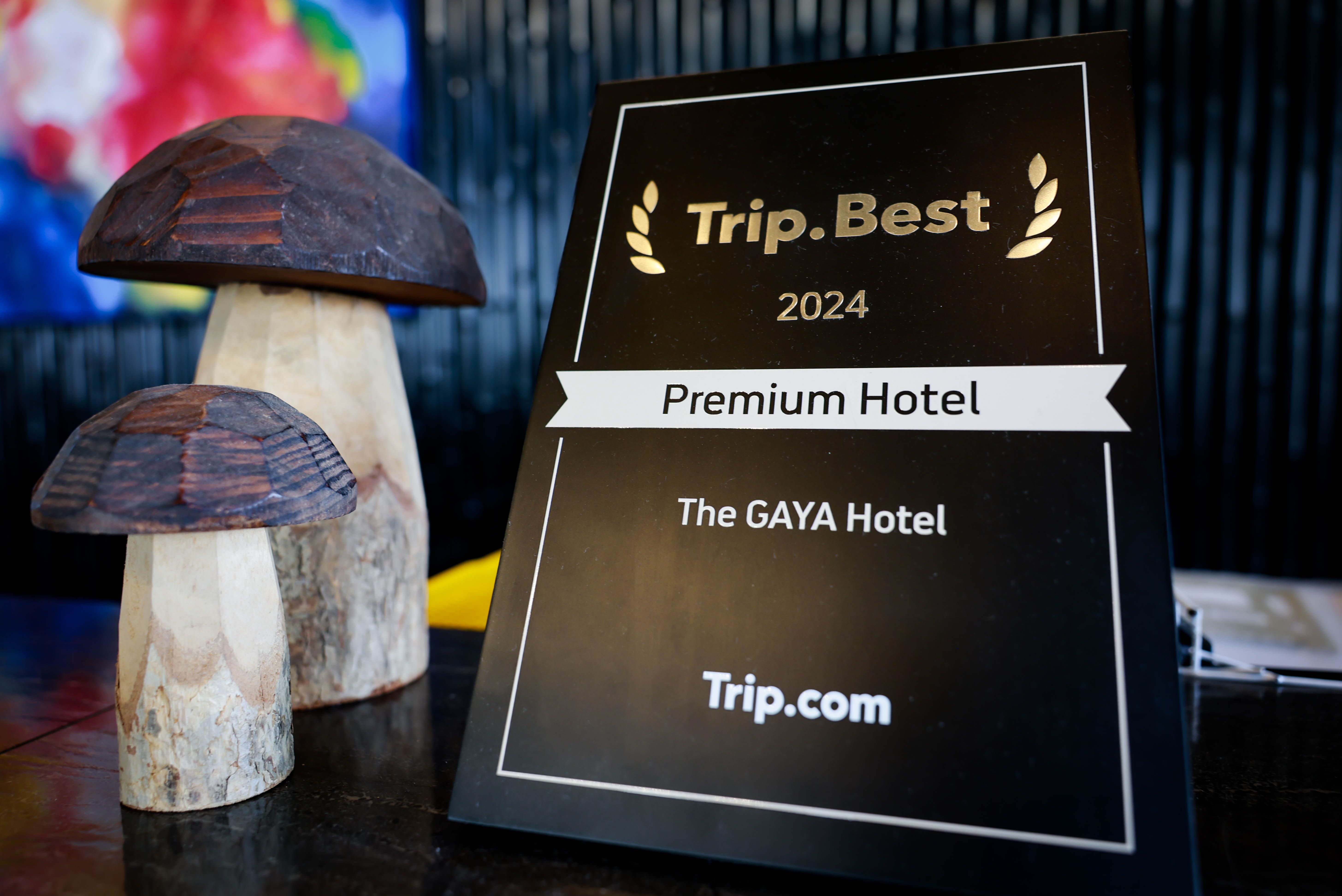 台東市區住宿｜THE GAYA HOTEL｜藝術旅宿 × 城市文化散策 × 在地生活風格（臺東縣旅館編號141號） | 台東慢旅｜Go Slow Go Taitung！