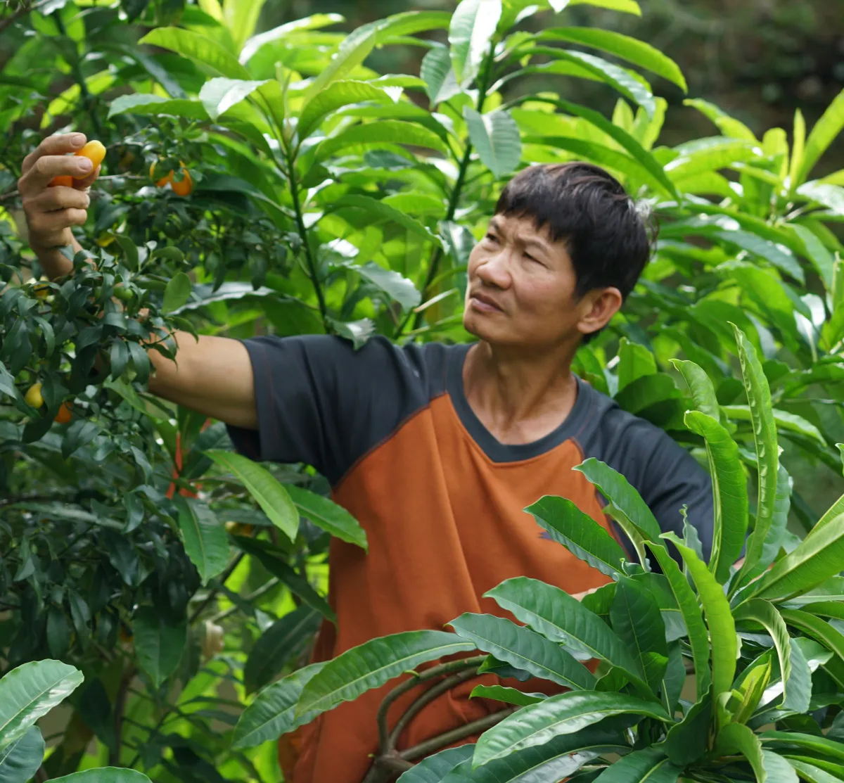 賴金田 竹湖山居自然生態休閒農場 創辦人