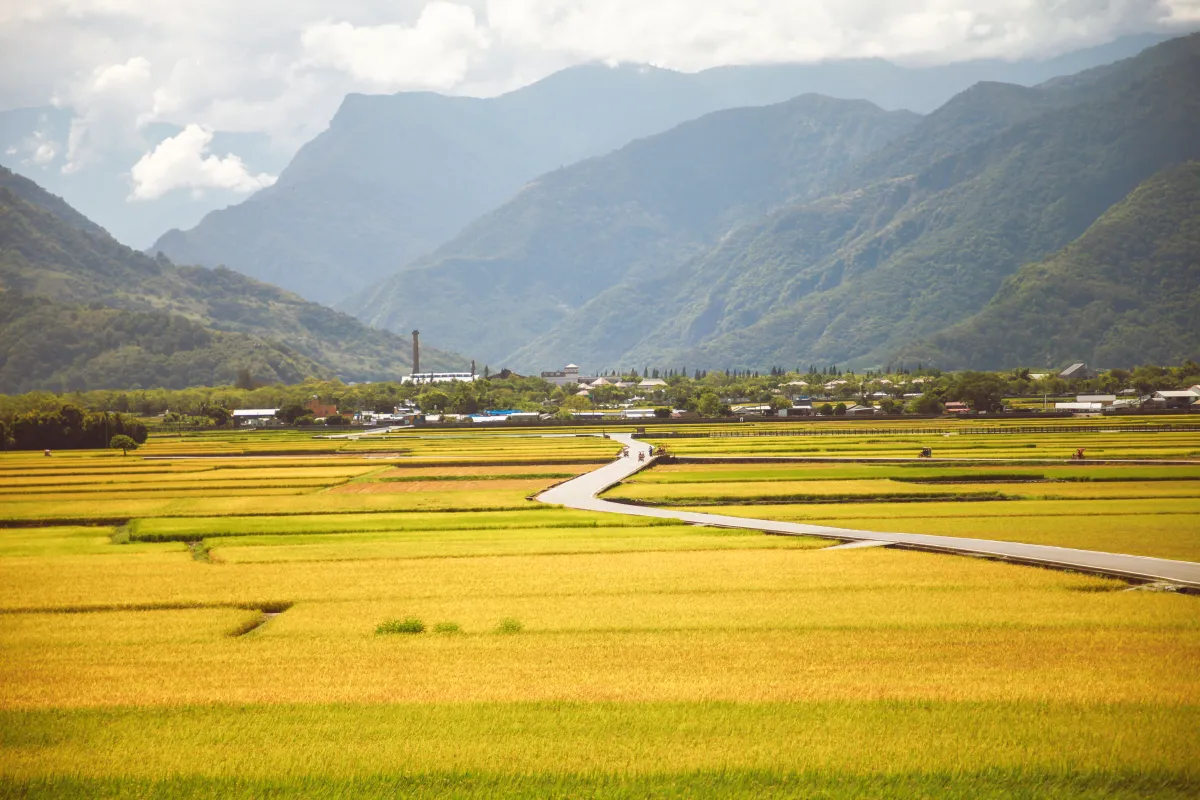 台東｜縱谷二日遊—慢呼吸.與山相伴聽小鎮低語 | 台東慢旅｜Go Slow Go Taitung！